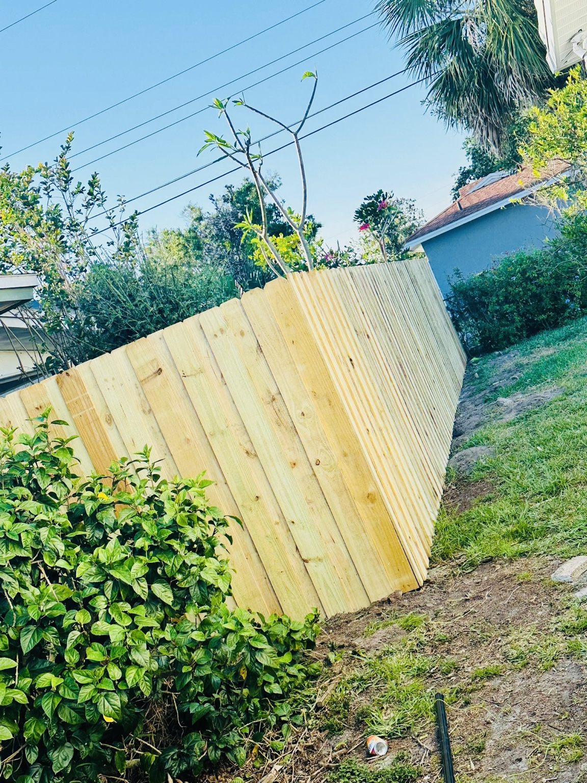 Wood privacy fence